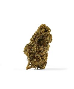 Strawberry Cheesecake – Premium Bio Outdoor