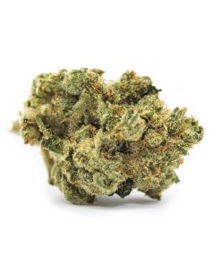 Gelato Ice CBD Weed