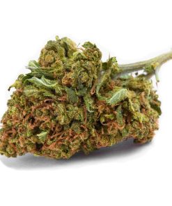 Strawberry Kush CBD Fleurs
