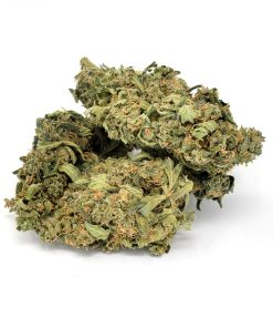 Mango CBD Flowers