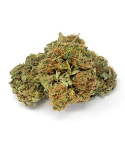Harlequin CBD Fiori di Cannabis