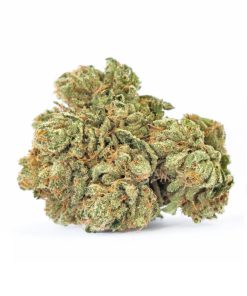 Rainbow Lime CBD Fiori